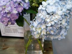 -那些花儿鲜花店(小寨店)