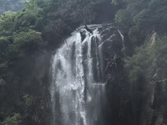 -陕西省红河谷森林公园