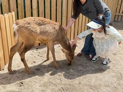 -杭州野生动物世界