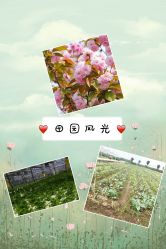 -麦粒鸟亲子游