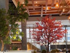 -拈菜(观音桥阳光世纪店)