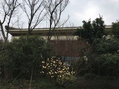 -苏州湾王焰温泉度假酒店