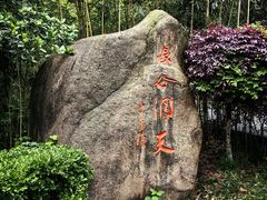 -长谷洞天