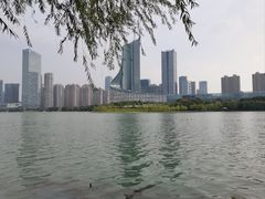 -天鹅湖体育公园