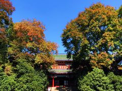 -灵谷景区