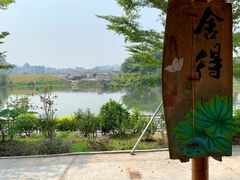 -顺德了能馆(虎门店)