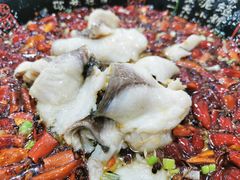 -晋合湘山西刀削面(中冀斯巴鲁大厦店)