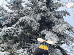 -永州阳明山国家森林公园