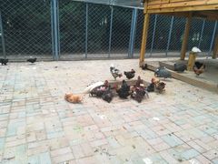 -长白岛森林公园