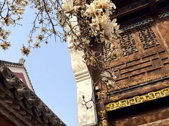 -长春观