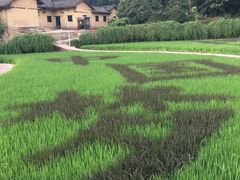 景点-韶山毛泽东同志故居