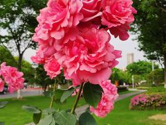 -无锡市市民中心