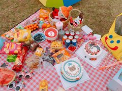 -长白岛森林公园