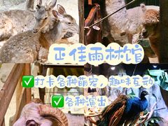 -正佳雨林生态植物园