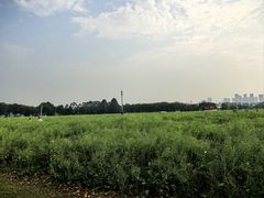 -光明小镇欢乐田园