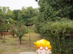 -东湖落雁景区