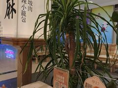 -桂满陇·杭州小馆(巴黎春天浦建店)