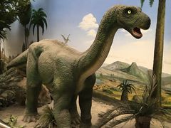 -国家自然博物馆