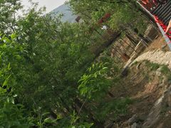 -紫云台香草园