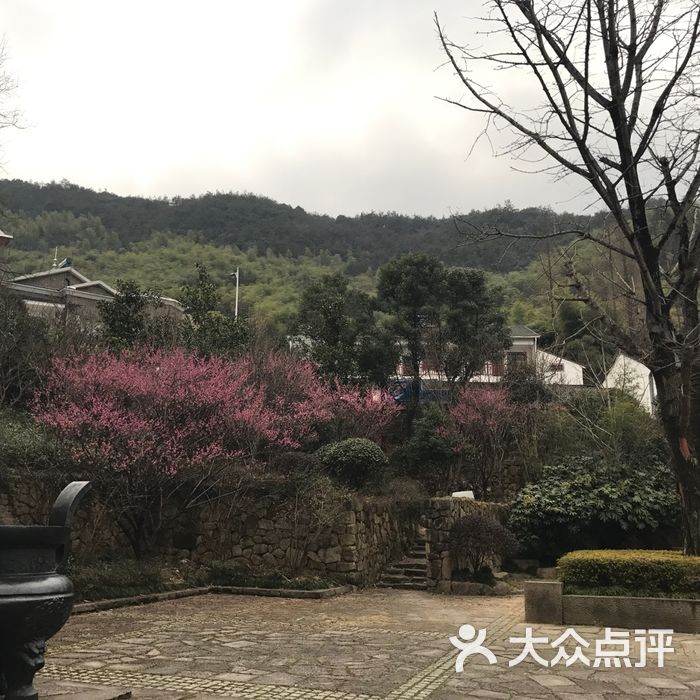 杭州径山五峰茶业有限公司