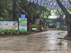 -广州长隆飞鸟乐园