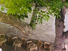 -Santoor 萨都里印度餐厅(北锣鼓巷店)