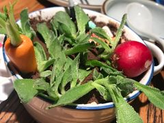 盆栽土豆泥-嘉禾·悦享餐厅(八方汇店)