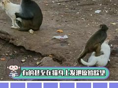 -昆明动物园
