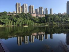 -重庆彩云湖湿地公园