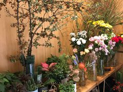 -蝶舍·MAISON PAPILLON