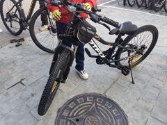 -道路口单车爱瓦士dahon大行