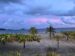 -渔家火锅·海鲜自助餐·演艺(亚龙湾天域酒店)