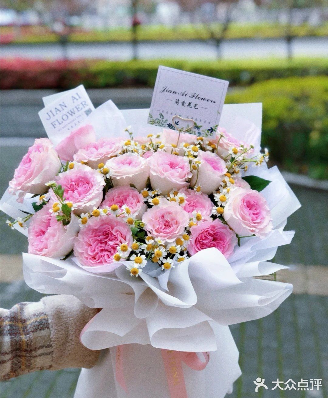 洛神玫瑰花的花语为矜持，信仰，宁静，希望