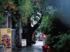 -老门东历史文化街区