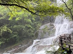 -大鄣山卧龙谷景区