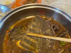-甲鱼张甲鱼铺子(观沙岭店)