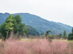 -塔川景区