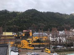 -九华山聚龙大酒店