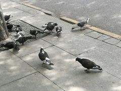 -半饱台式茶点