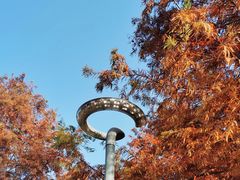 -苏州东太湖生态园