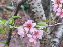 -杨厝六十六农庄农舍(杨厝路店)