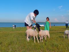 -呼和诺尔旅游景区