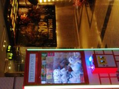 -好乐迪(张扬路八佰伴店)