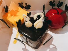 -BLACKSWAN黑天鹅(环球店)