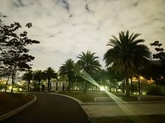 -白石龙音乐公园