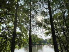 -西溪国家湿地公园