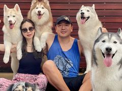 -TrueLove @ Neverland (Husky Cafe)