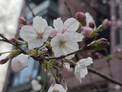 -三镇民生甜食馆(胜利街总店)