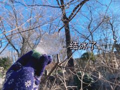 -五道营胡同