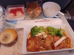 -西沃古尔·拉姆古兰爵士国际机场